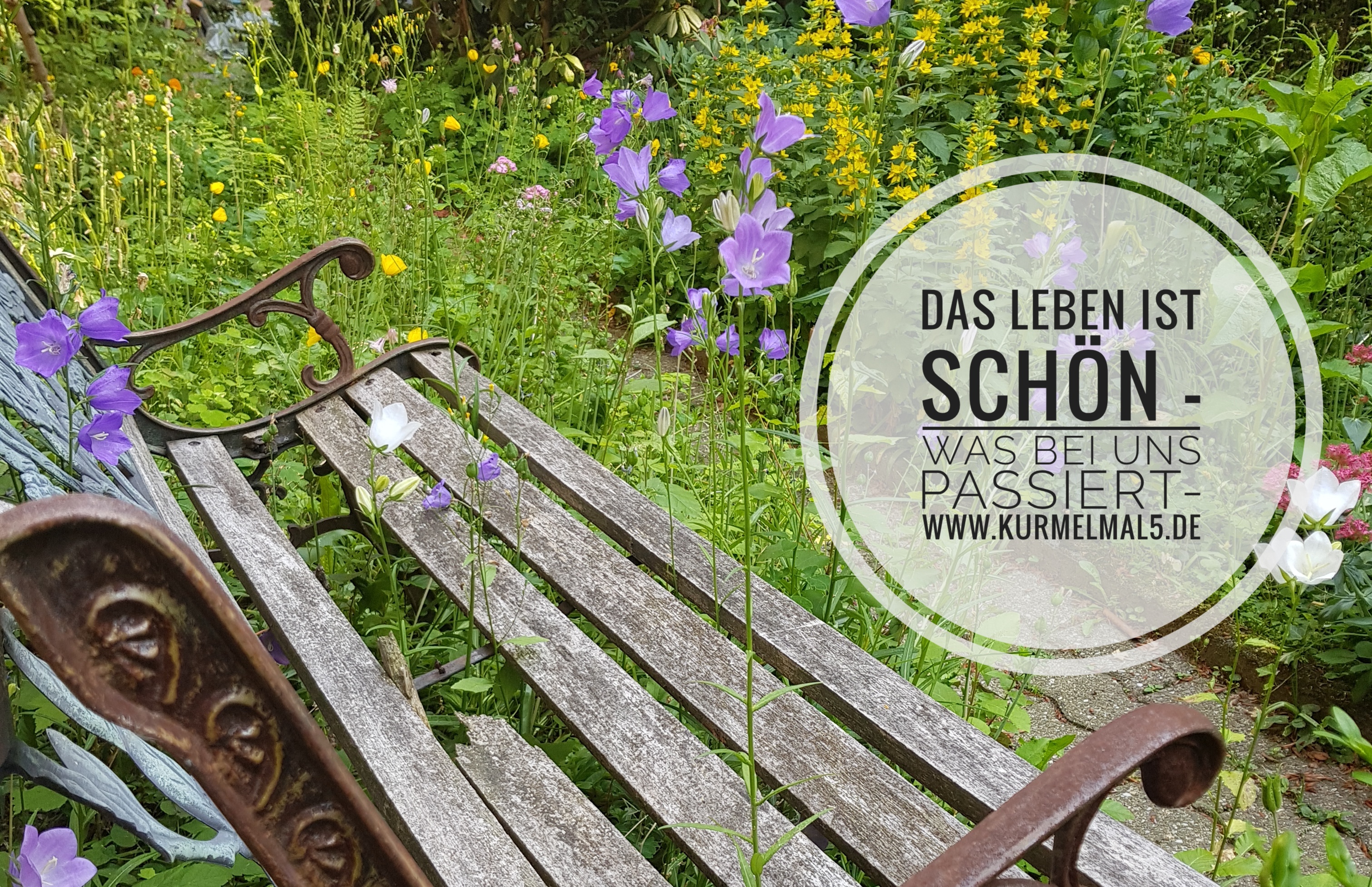 Das Leben ist schön